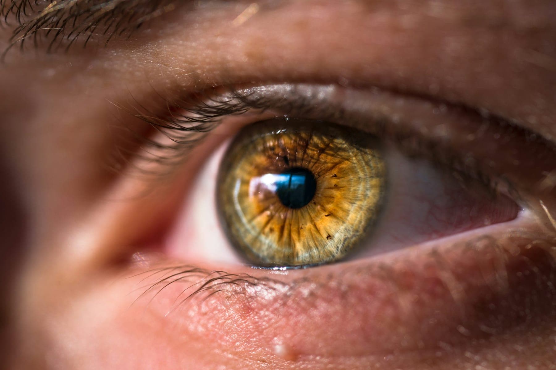 Detailed close-up of a human eye with amber iris