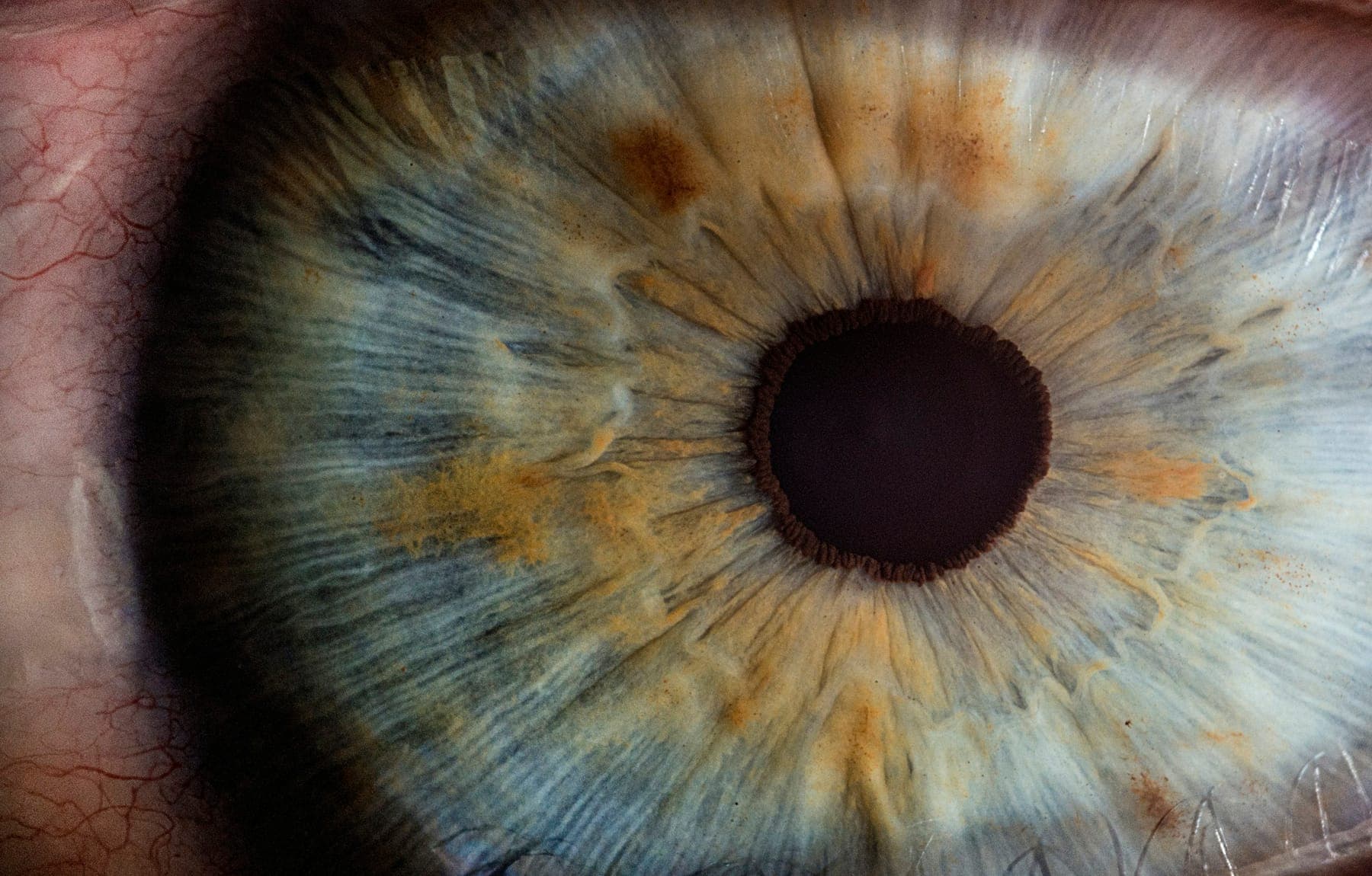 Macro photograph of a human iris and pupil